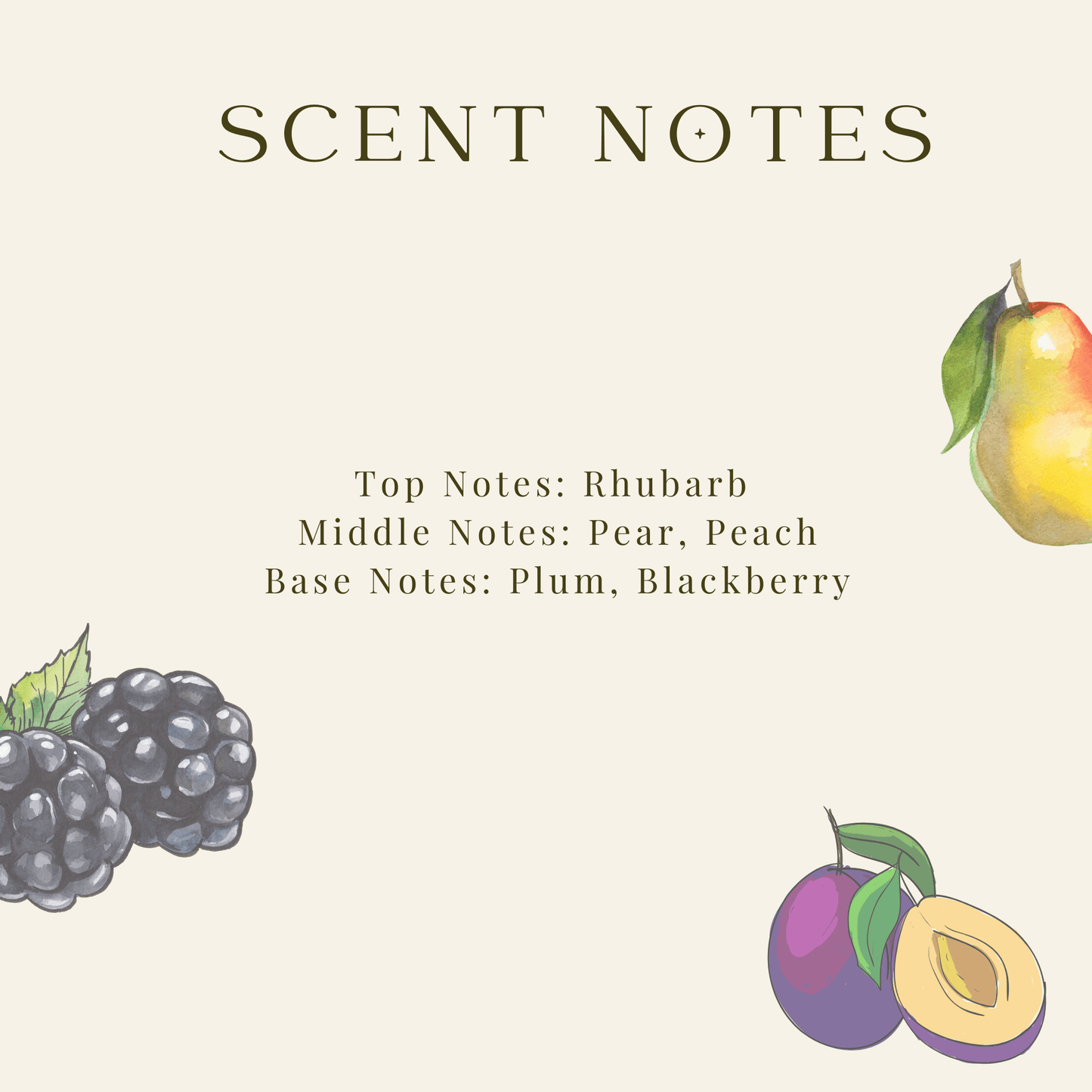 Black Plum and Rhubarb